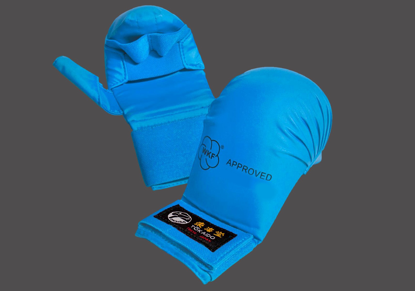 Blue Kumite Tokaido Gloves